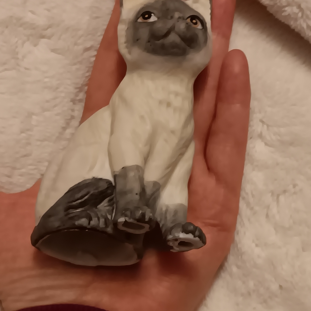 Siamese cat  bell